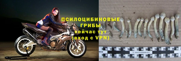 не бодяженный Абдулино