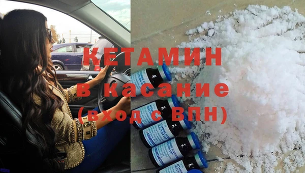 индика Абаза