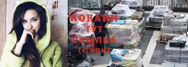 крисы Пересвет