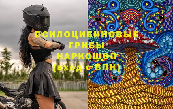 индика Абаза