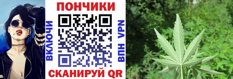 МЕГА сайт  Черемхово  Конопля марихуана 